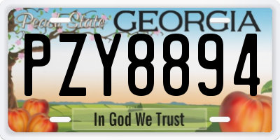 GA license plate PZY8894