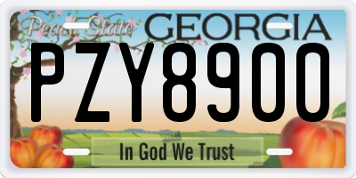 GA license plate PZY8900
