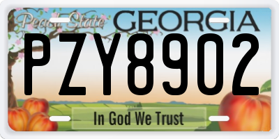 GA license plate PZY8902