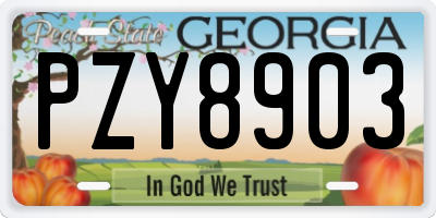 GA license plate PZY8903