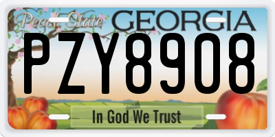 GA license plate PZY8908