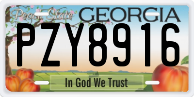 GA license plate PZY8916