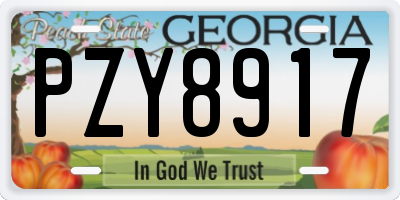 GA license plate PZY8917