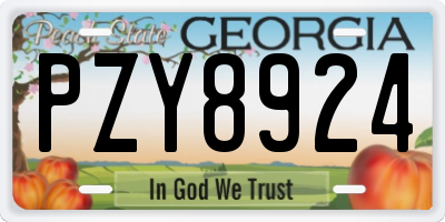 GA license plate PZY8924