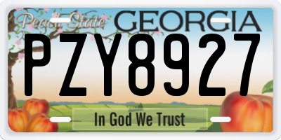 GA license plate PZY8927