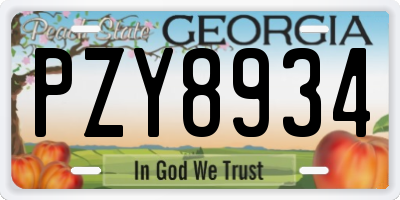 GA license plate PZY8934