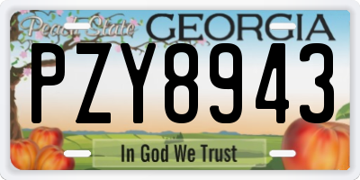 GA license plate PZY8943