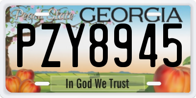 GA license plate PZY8945