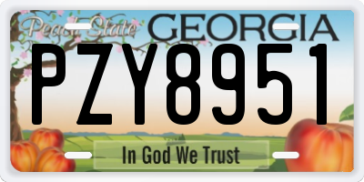 GA license plate PZY8951