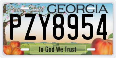 GA license plate PZY8954