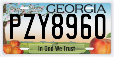 GA license plate PZY8960