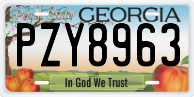 GA license plate PZY8963