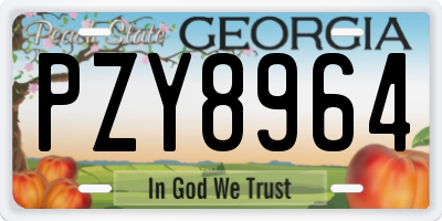GA license plate PZY8964
