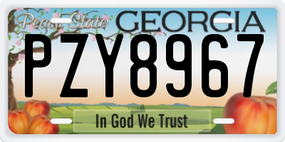 GA license plate PZY8967