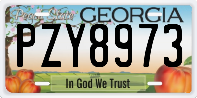 GA license plate PZY8973