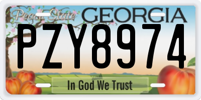 GA license plate PZY8974