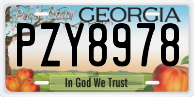 GA license plate PZY8978