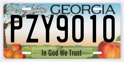 GA license plate PZY9010