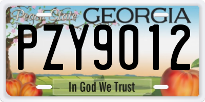 GA license plate PZY9012