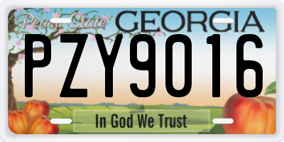 GA license plate PZY9016