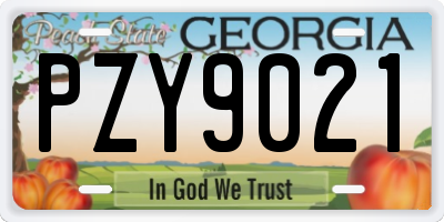 GA license plate PZY9021