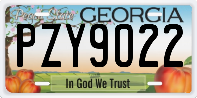 GA license plate PZY9022