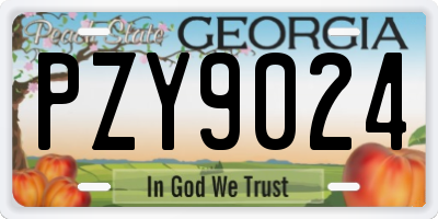 GA license plate PZY9024