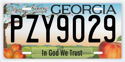 GA license plate PZY9029