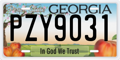 GA license plate PZY9031