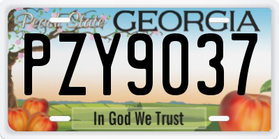 GA license plate PZY9037