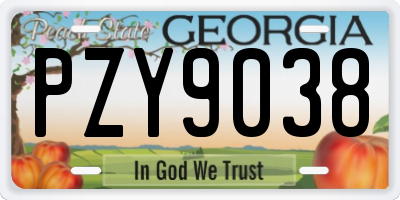 GA license plate PZY9038