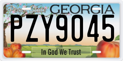 GA license plate PZY9045