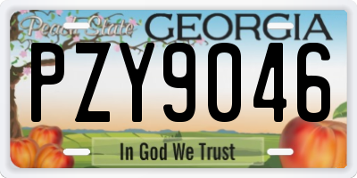 GA license plate PZY9046