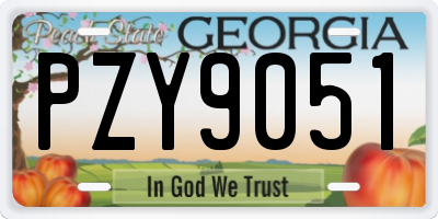 GA license plate PZY9051