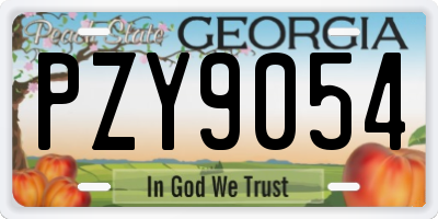 GA license plate PZY9054