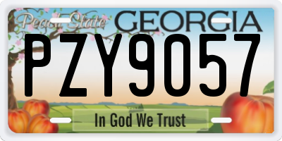 GA license plate PZY9057