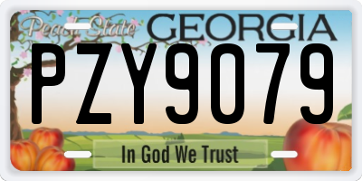 GA license plate PZY9079