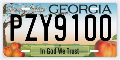 GA license plate PZY9100