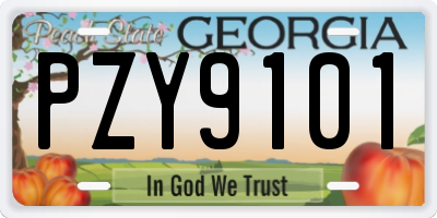 GA license plate PZY9101