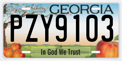 GA license plate PZY9103