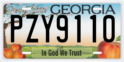 GA license plate PZY9110