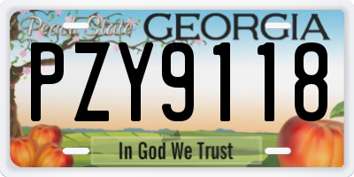 GA license plate PZY9118