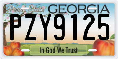 GA license plate PZY9125