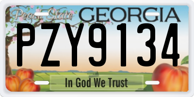 GA license plate PZY9134