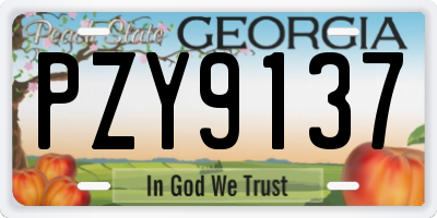 GA license plate PZY9137