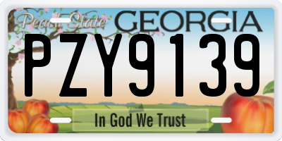 GA license plate PZY9139