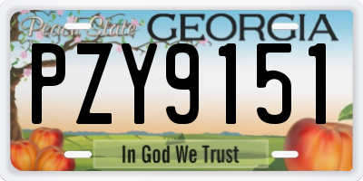 GA license plate PZY9151