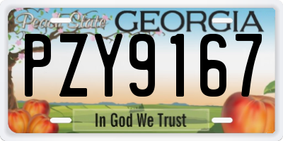 GA license plate PZY9167
