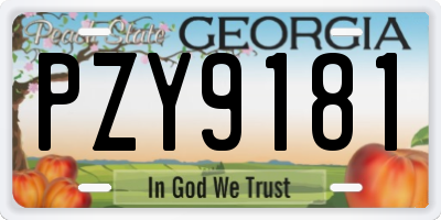 GA license plate PZY9181