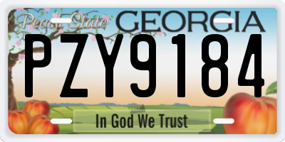 GA license plate PZY9184